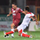 David Di Michele, con la maglia della Reggina