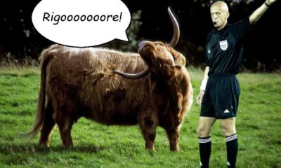 Il tifoso bue inveisce a caso contro l'arbitro