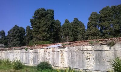 pista ciclabile sanremo 1