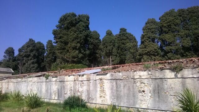 pista ciclabile sanremo 1