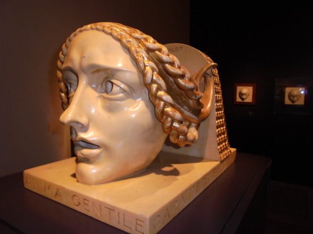 Wildt, anima gentile